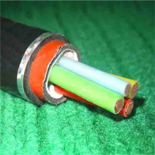 防水电力电缆FS-CU/XLPE/PE/SWA2X6