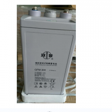 ˫ǷܷʽǦGFM-300C10