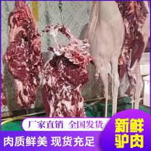 驴尾巴驴小肠 生鲜驴副产品 品类齐全 现杀现卖