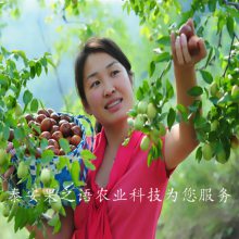 硢硢ʺϷֲƷ