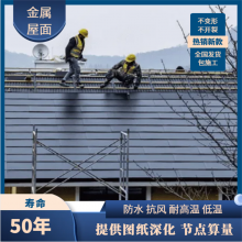 自建房 屋面翻新 朋莱金属复合瓦 施工便捷 防水抗风揭