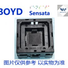 CBG120-A156AA-Z BOYD/SENSATA/WELLS-CTI/QINEX BGA-120-0.5