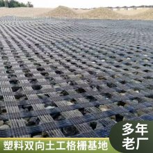 双向塑料土工格栅 玻纤钢塑格栅 家禽养殖围栏 可定制