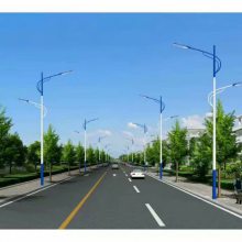 桂林LED市政路灯杆生产厂家 按图定制 江苏斯美尔光电科技有限公司