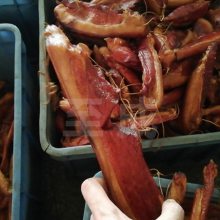 ӹ豸 Ѭɻ 㶫ʽ豸