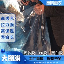 汉中佛坪县冬枣_李子_桑葚双防大棚膜适用各种规格大棚厂