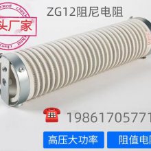 阻尼电阻ZG12-150Ω/800W电除尘器阻尼电阻高压线绕电阻