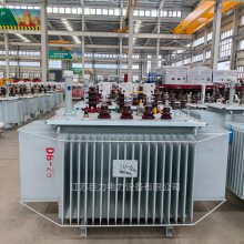 10KV/22KVѹѹ ͭоS11-1250KVA/10KV/22KVͽʽѹ