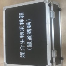 ý䲡ýռ鹤