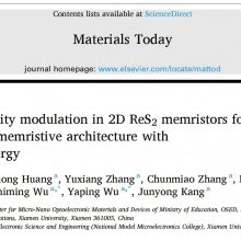 客户成果丨厦门大学《Materials Today》