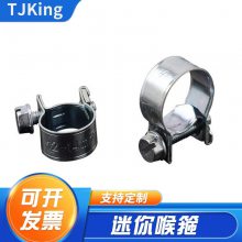 源头工厂量大优惠碳钢镀锌迷你喉箍 氧气管喉箍迷你强力卡箍