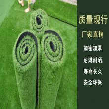 丰草仿真绿化塑料假草坪足球场绿植地垫草人工跑道假草皮
