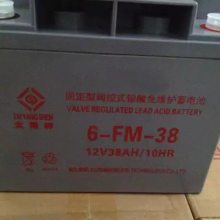 ̫6-FM-50 12V50AH UPS/EPSԴ