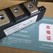 ZFCHģSGDMD300A1600EYL
