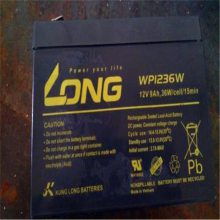 广隆蓄电池WP65-12 12V65AH规格及芯片图片