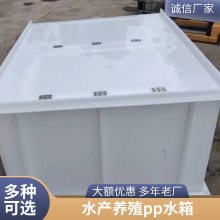 厂家直供 高密度养殖PP水箱 耐磨耐酸碱塑料水箱 可焊接pp板材