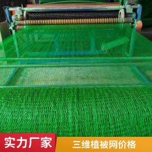 广东世杰三维复合排水网 抗拉强度高 化学性能与物理性能稳定
