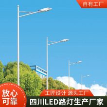 双流LED路灯厂家 led道路灯 承接亮化照明工程 新农村路灯 景观设计