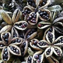 ����ĵ�������綩���绰