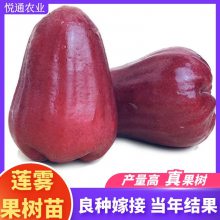 ڽմҶ̨Ʒּ޽ϷͥԺԵ꿪