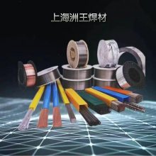 上海洲王焊材有限公司