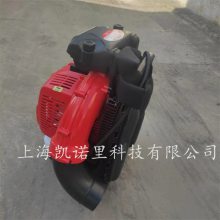 Сɷʽɭ·ҶEBZ8500