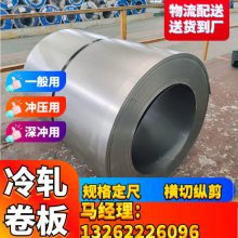 VDA239-100 CR3-UC-U