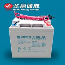 6-CN-30ά12V30AH Ӧƿ ׼