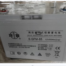 ˫ ܷʽǦά 6-GFM-85C20