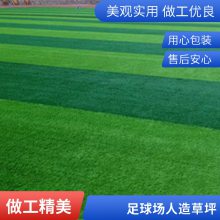 加密草丝 彩色人造草坪 楼顶绿化装饰 加厚双层背胶 纵锐翔