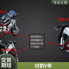 蓬山同步带 各种工业同步带生产供应商 切割式V带 带轮 多楔带批发