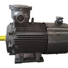 YBK3-355S2-2-200KWֻӦ