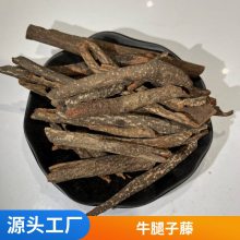 获证堂正宗药材红杜仲 无硫中药材软羌藤 原材料结衣藤大量出售