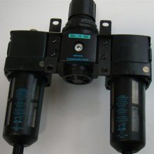 ӦɭwilkersonͺX06-C2-000