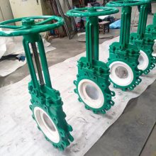 ֶմɲ巧 PZ73TC-10C DN600 ĥբ