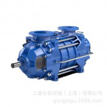 ANDRITZ干式污水泵SD series