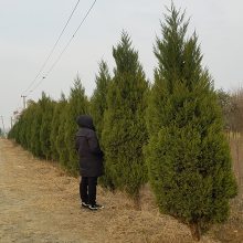 0.53׸ľ۸ο