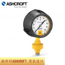 德鹳仪表 Ashcroft雅斯科 251009SW02LXLL30# 压力表