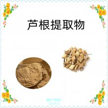 芦根提取物 食品级 10：1 20：1高比例萃取粉 浓缩干燥 可定制