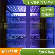新励顶置LED红蓝光低温人工气候箱 隔板式光照培养箱