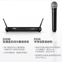 SHURE˷̨ûݽ˫ֳֻͲSVX288/PG58