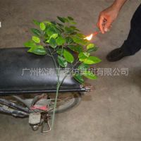防火榕树叶厂家定做 广州防火阻燃榕树 假树叶仿真树叶厂家批发
