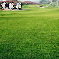 麣ӱƤر