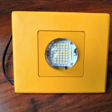  רled50W100WɫƶĿ̨