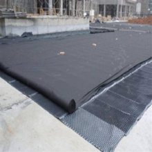 20高1000克屋面种植阻根板 绿化隔热地下室建筑夹层塑料排水板