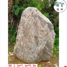 赣州景观石泰山石，泰山石石材，园林景观泰山石批发