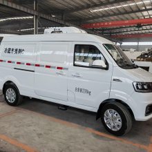小型面包冷藏车 金杯海狮保温冷链车 疫苗冷冻车可按揭