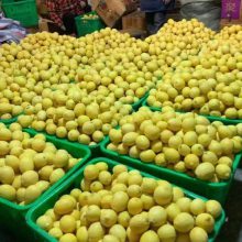 �� ��ˮ���� Ӧ���������Ĵ�ˮ���� ���г� �� ������������