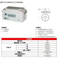 BT-HSE-65-12 (12V6***H)UPSԴ/̫/AGMǦ