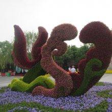 哪里有真植物 成都真植物爱心拱门制作